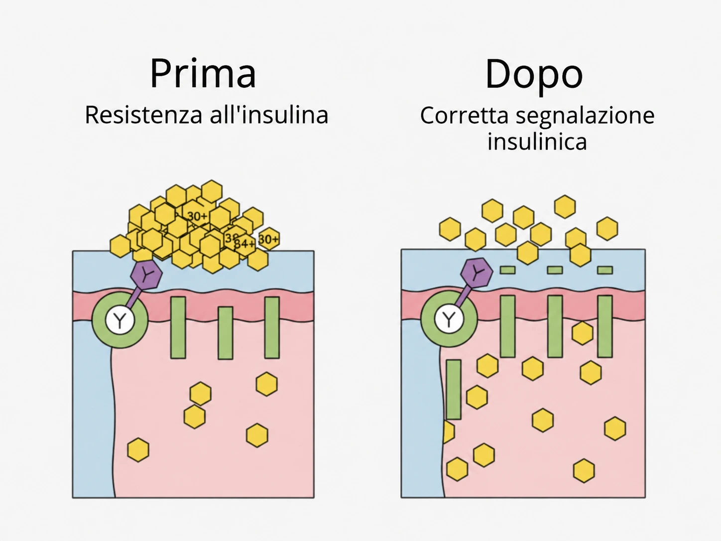 Resistenza insulinica